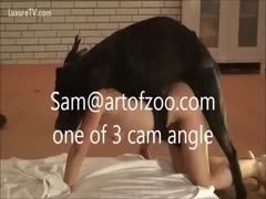 In order to engage in intense beastiality sex with a dog, dirty black cock whores adopt the doggy position.